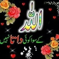 Hafiz Muhammad Ans