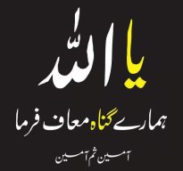 ماجد افضل