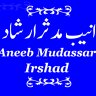 Aneeb Mudassar