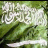 ابن عمر